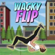Wacky Flip cover art